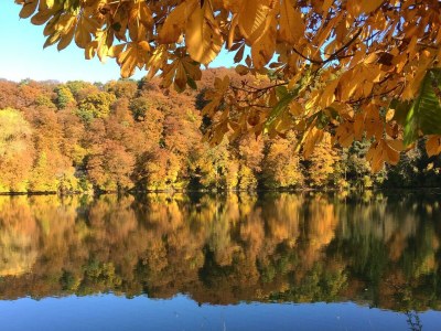 Apartment 2-Bett Ferienwohnung Stollenstube - Outdoor photo 36