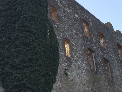 Apartment 2-Bett Ferienwohnung Stollenstube - Outdoor photo 40