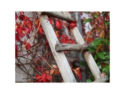 Apartment 4-Bettwohnung Speicher in Eckfeld - Apartment