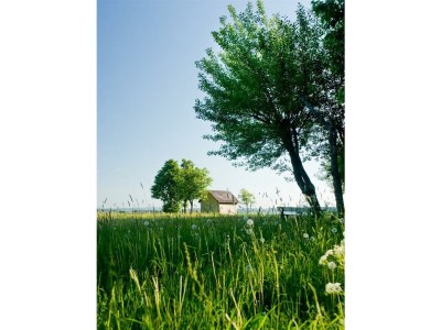 Apartment 2-Bettwohnung App. Wiesental I, Ferienwohnung - Outdoor photo 6