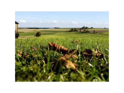 Apartment 2-Bettwohnung App. Bauerngarten II - Outdoor photo 6