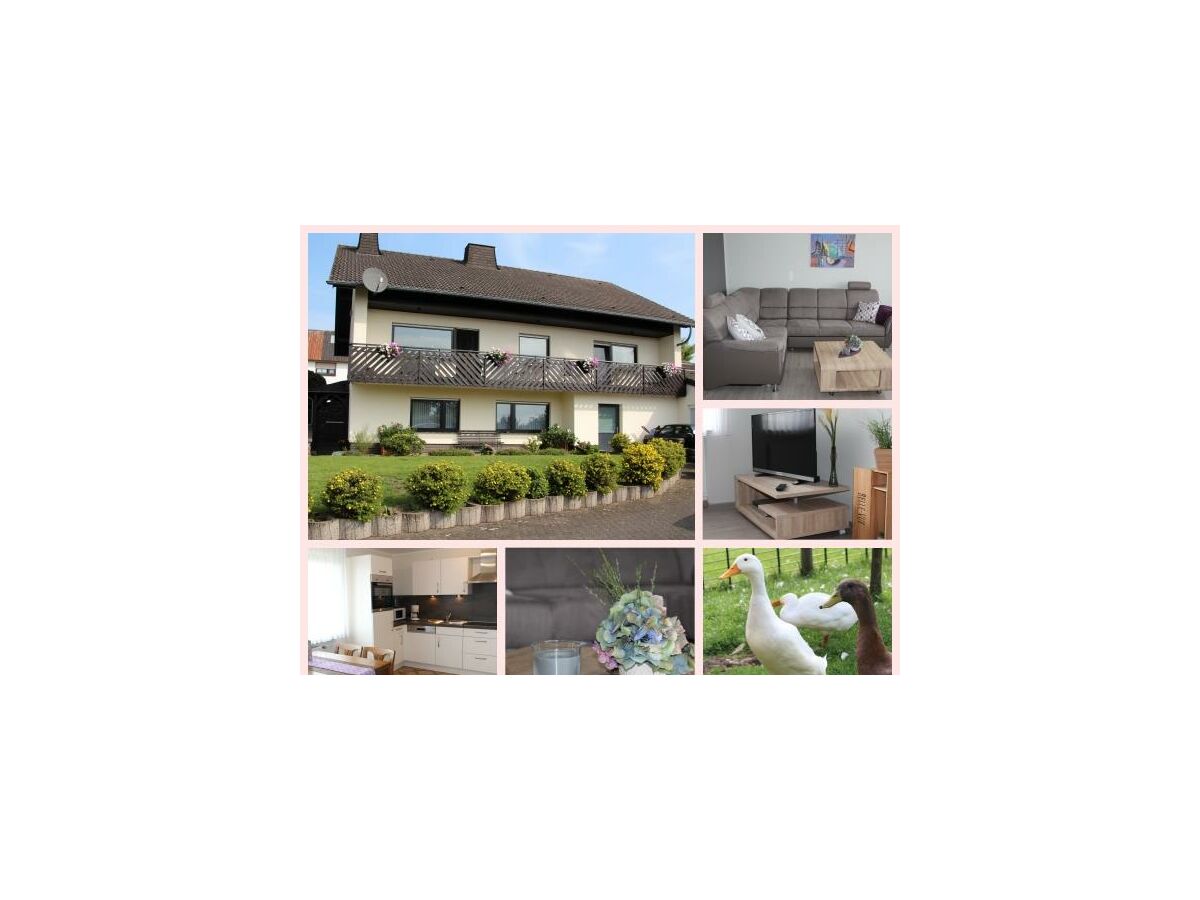 Apartment 2-Bett-Fewo Dusche und Bad/WC, 1 Schlafraum - Outdoor photo 3