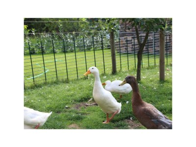 Apartment 2-Bett-Fewo Dusche und Bad/WC, 1 Schlafraum - Outdoor photo 15