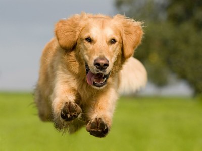 Apartment 2-Bett-Ferienwohnung Vier Jahreszeiten - Outdoor photo 30