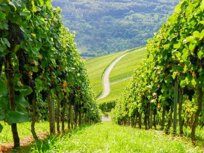 Apartment 2-Bett-Ferienwohnung Vier Jahreszeiten - Outdoor photo 48