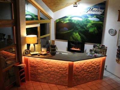 Apartment Exclusiv Studio Vulkanpanorama - Outdoor photo 27