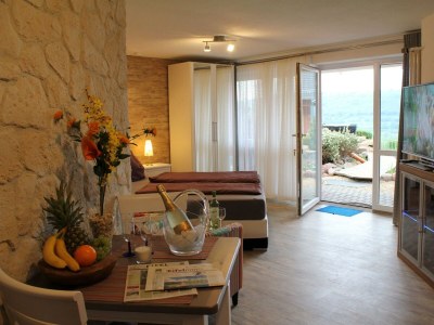 Apartment Exclusiv Studio Vulkanpanorama - Features photo 52