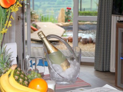 Apartment Exclusiv Studio Vulkanpanorama - Features photo 62