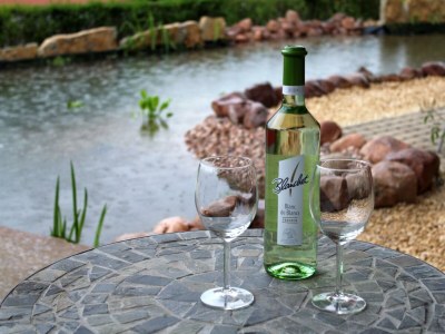 Apartment Exclusiv Studio Vulkanpanorama - Features photo 64