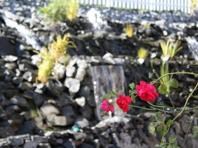 Apartment 2-Bett-Apartment Seeidyll - Features photo 82