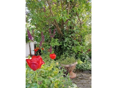 Apartment 10-Bett Ferienhaus Sommerhaus Daun - Outdoor photo 10