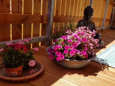 Apartment 10-Bett Ferienhaus Sommerhaus Daun - Features photo 25