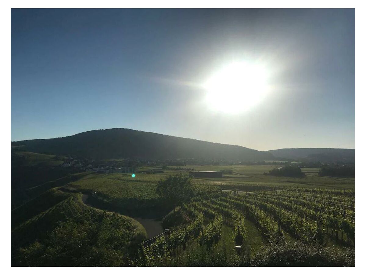 Apartment Ferienwohnung - Outdoor photo 2