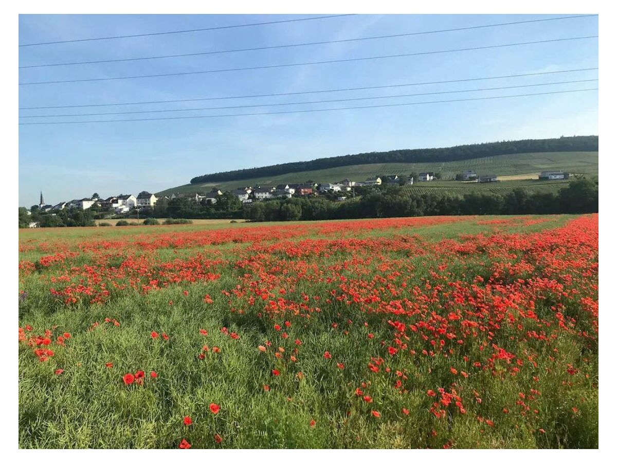 Apartment Ferienwohnung - Outdoor photo 4