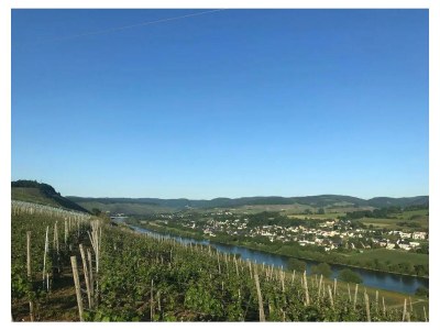 Apartment Ferienwohnung - Outdoor photo 3