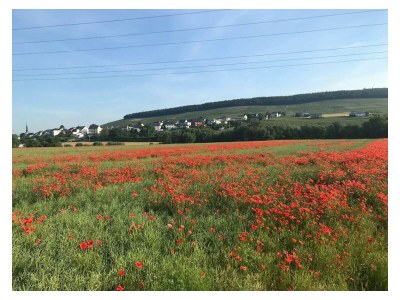 Apartment Ferienwohnung - Outdoor photo 4
