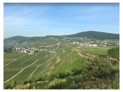 Apartment Ferienwohnung - Outdoor photo 6