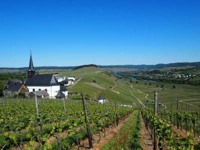 Apartment Ferienwohnung - Environment photo 30