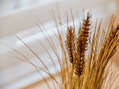 Apartment Schwanenhaus - Outdoor photo 3