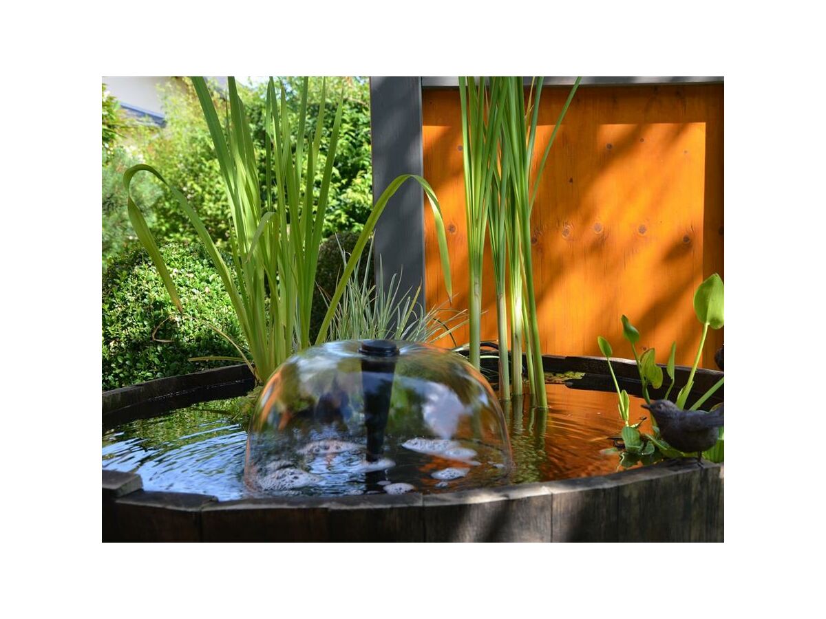 Apartment FeWo mit Balkon - Outdoor photo 4