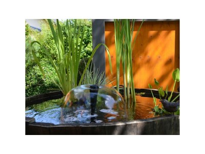 Apartment FeWo mit Balkon - Outdoor photo 4