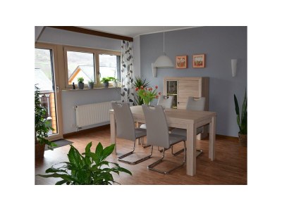 Apartment FeWo mit Balkon - Features photo 16