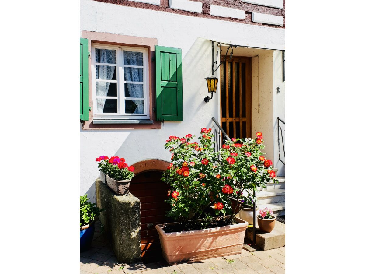 Apartment 4-Bettwohnung - Outdoor photo 5