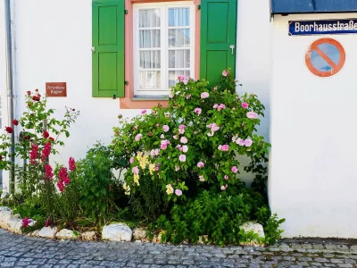 Apartment 4-Bettwohnung in Bernkastel-Kues - Apartment