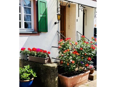 Apartment 4-Bettwohnung - Outdoor photo 6