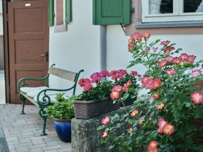 Apartment 4-Bettwohnung - Outdoor photo 24