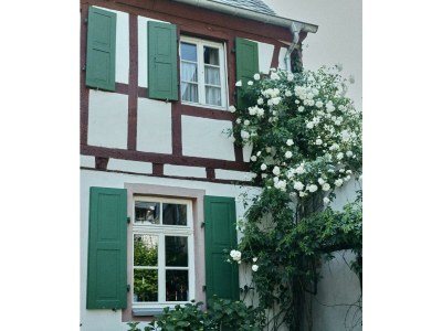 Apartment 4-Bettwohnung - Outdoor photo 25