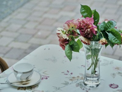 Apartment 4-Bettwohnung - Outdoor photo 28