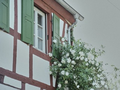 Apartment 4-Bettwohnung - Outdoor photo 29