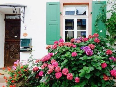 Apartment 4-Bettwohnung - Outdoor photo 40