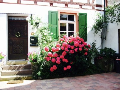 Apartment 4-Bettwohnung - Features photo 59