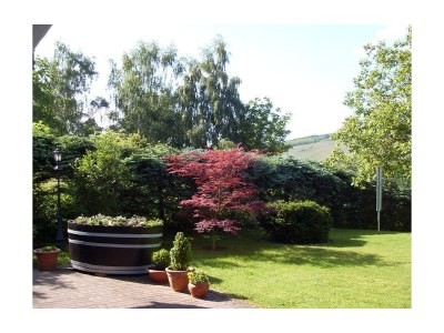 Apartment Ferienwohnung Sonnenblume - Outdoor photo 8