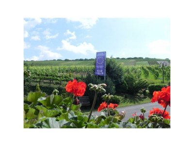 Apartment Kleine Auszeit FEWO Nr 10 - Features photo 8