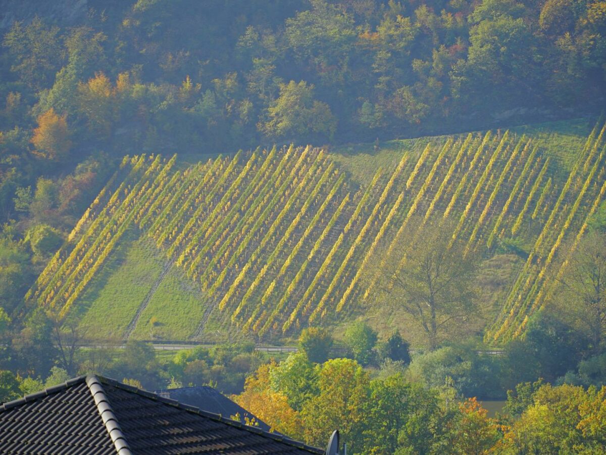 Apartment Weitblick FEWO Nr. 11 - Outdoor photo 2