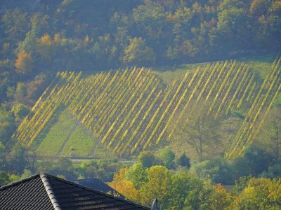 Apartment Weitblick FEWO Nr. 11 - Outdoor photo 2