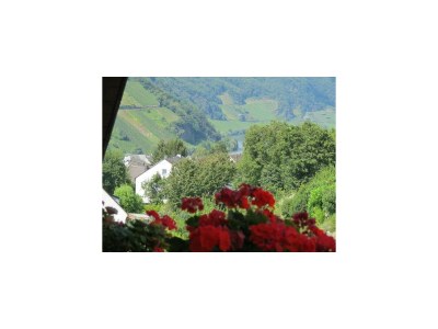 Apartment Weitblick FEWO Nr. 11 - Features photo 14