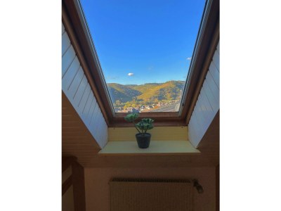 Apartment Traumblick FEWO Nr 12 - Features photo 22