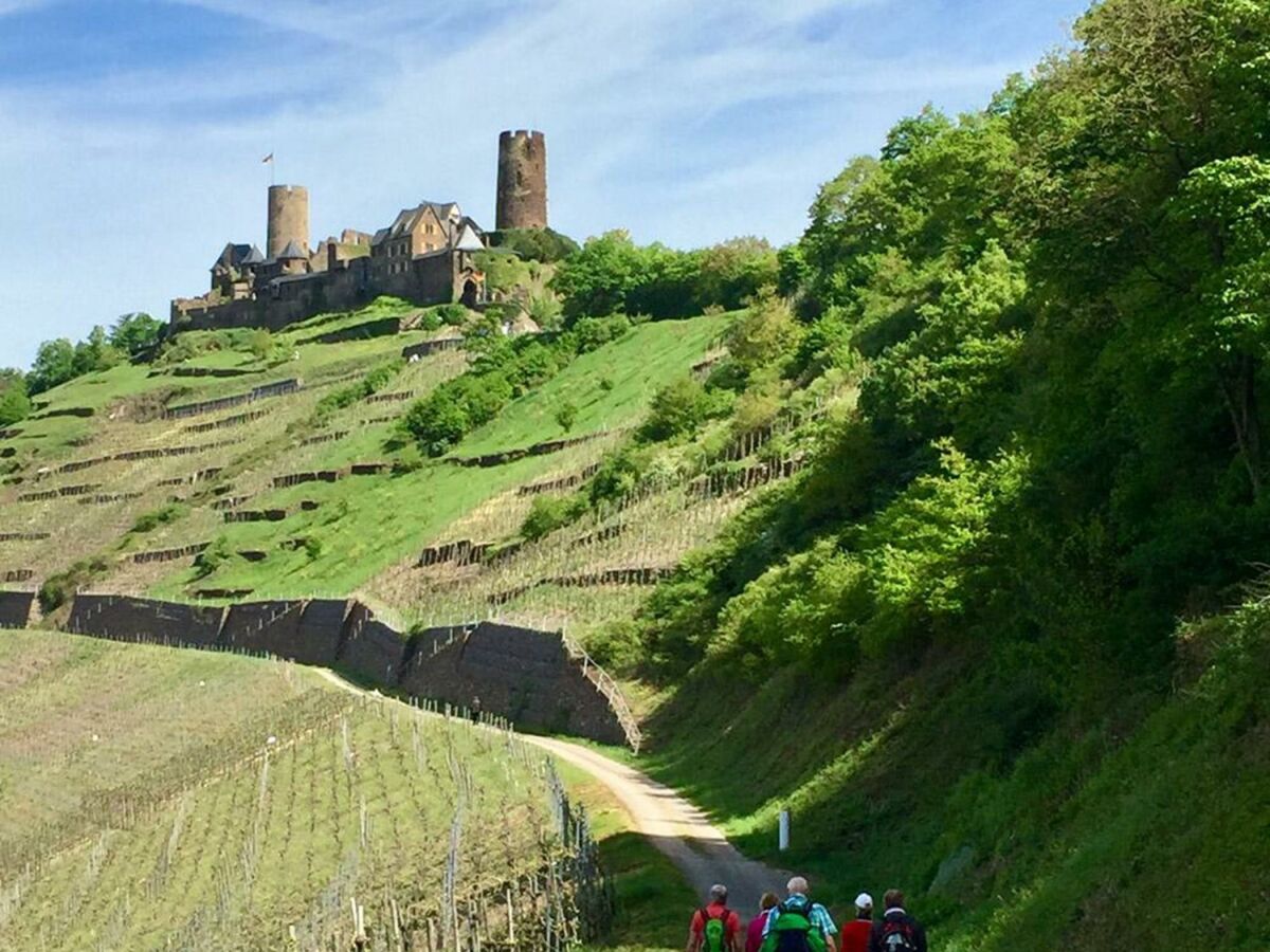 Apartment 2-Bettwohnung "Doctorberg I" - Outdoor photo 3