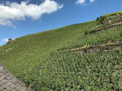 Apartment 4-Bettwohnung "Doctorberg II" - Outdoor photo 2