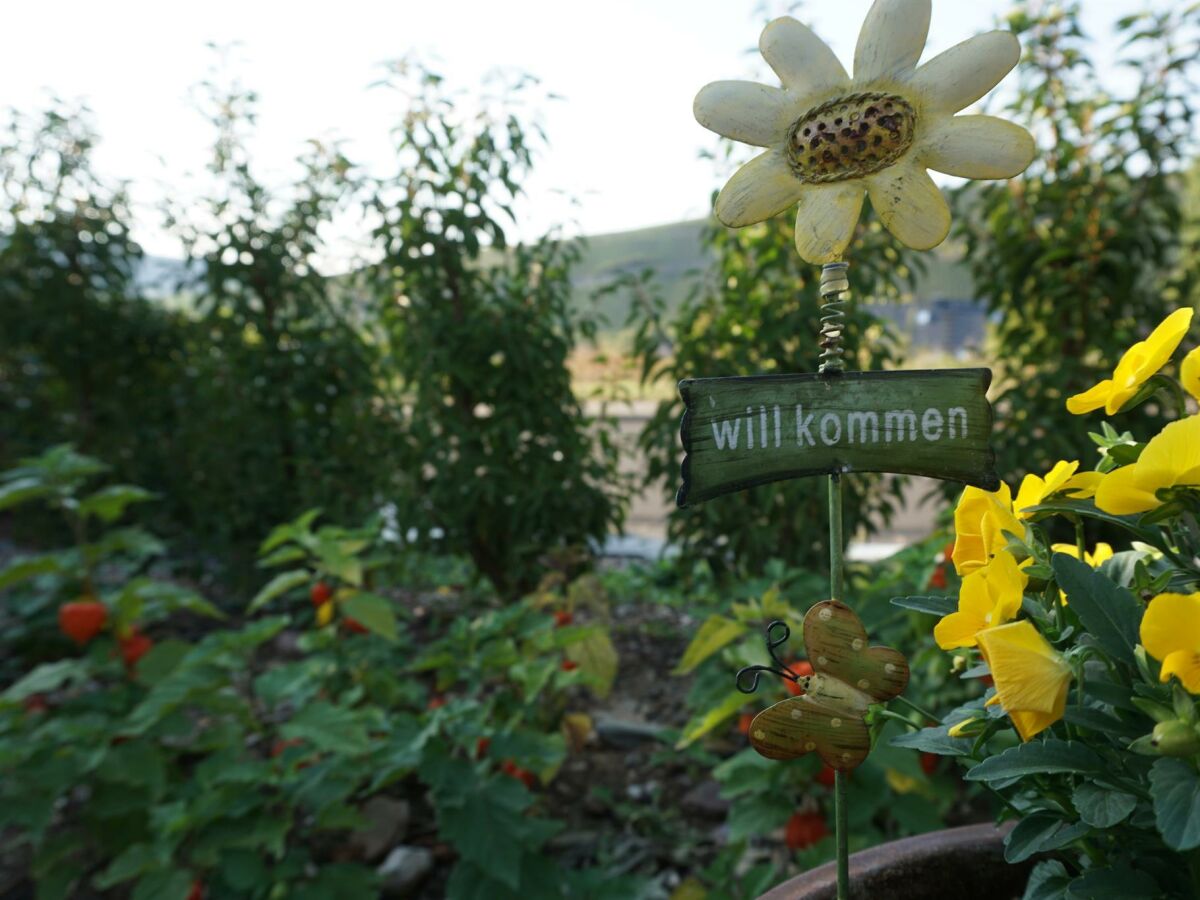 Apartment Appartement Parterre - Outdoor photo 2