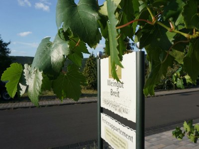 Apartment Appartement Parterre - Outdoor photo 3