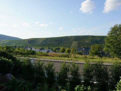 Apartment Appartement Parterre - Outdoor photo 11