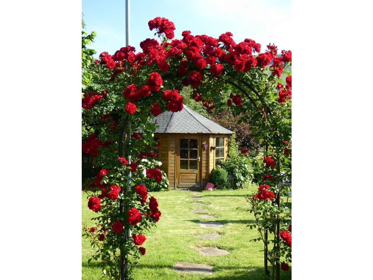 Apartment Ferienwohnung Kardinalsberg - Outdoor photo 2