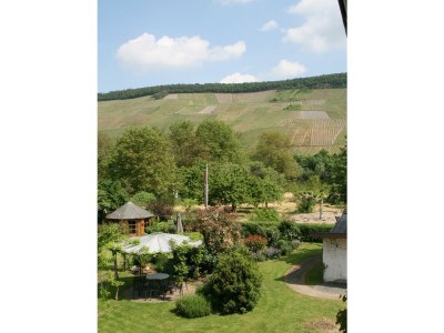 Apartment Ferienwohnung Kardinalsberg in Bernkastel-Kues - Apartment