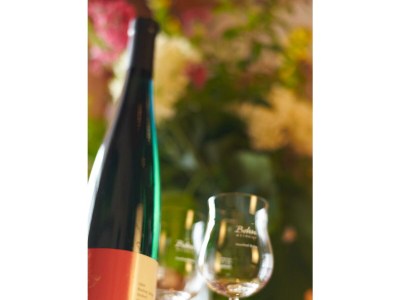 Apartment Ferienwohnung Kardinalsberg - Outdoor photo 3