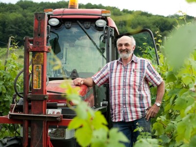 Apartment Ferienwohnung Kardinalsberg - Outdoor photo 10